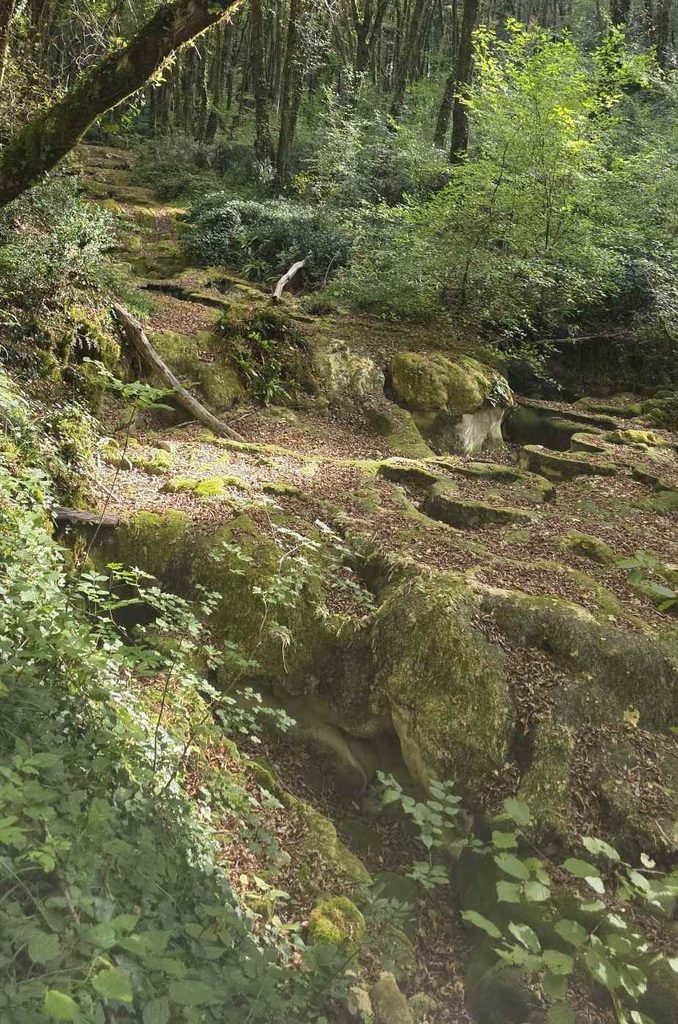 Le ruisseau du Caillon à sec en automne – Floirac Lit asséché du ruisseau du Caillon, entre rochers recouverts de mousse et sous-bois à Floirac dans le Lot.